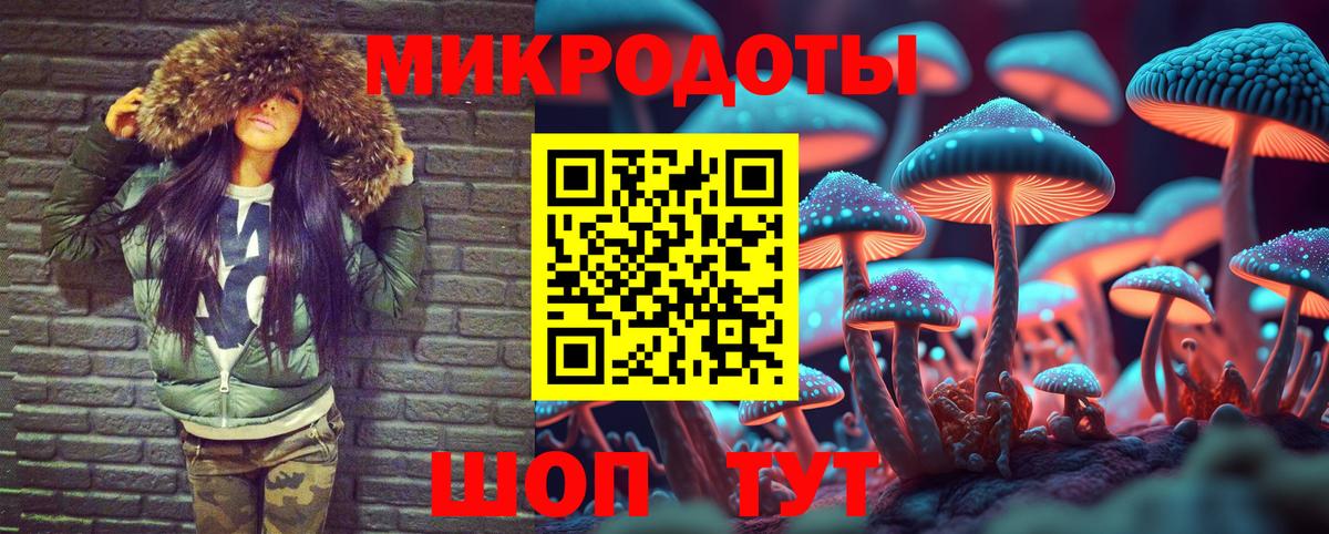 Галлюциногенные грибы Psilocybe  Вход с VPN  Первоуральск 